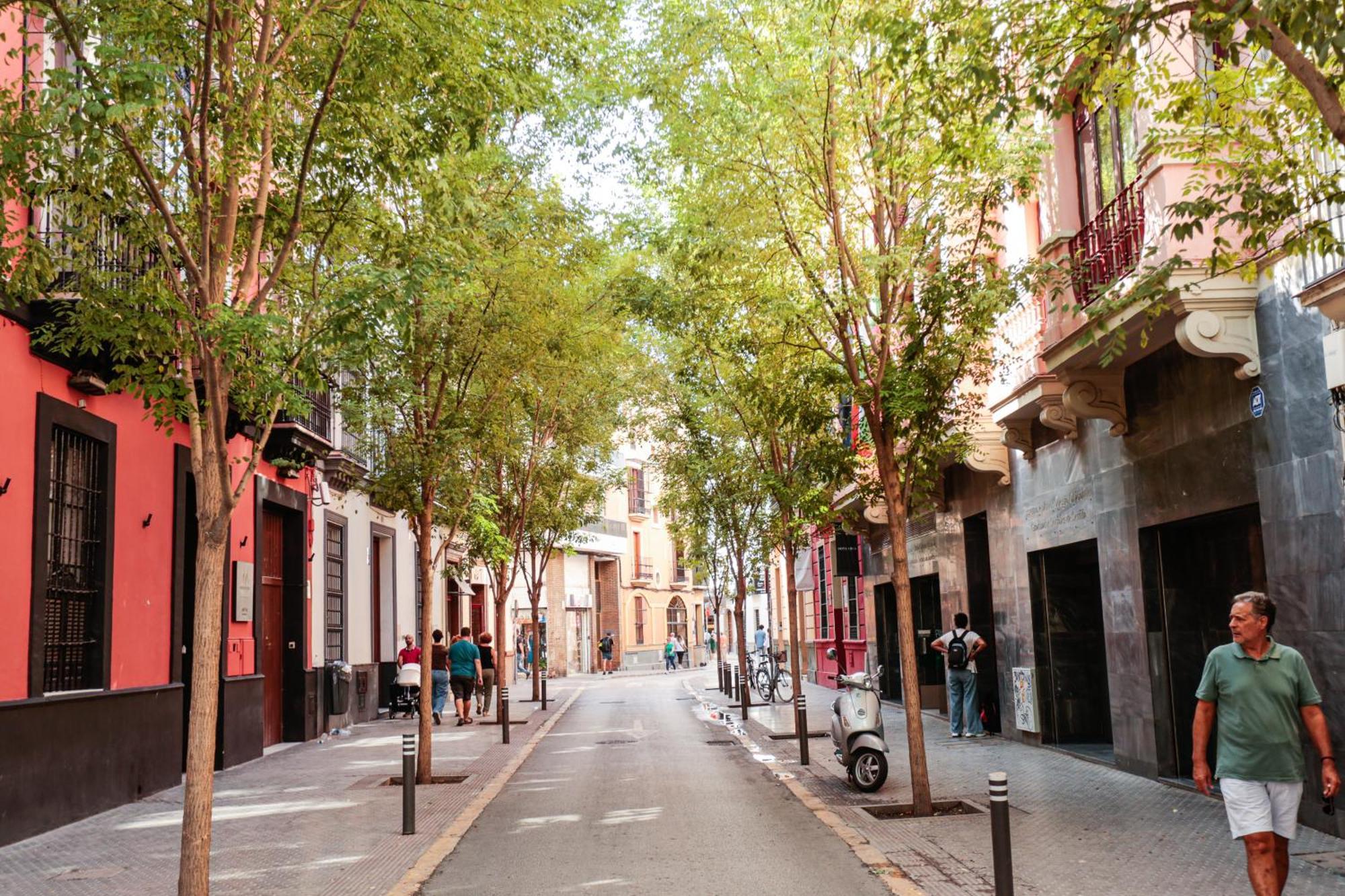 Monkeys Apartments Cervantes Sevilla Eksteriør billede