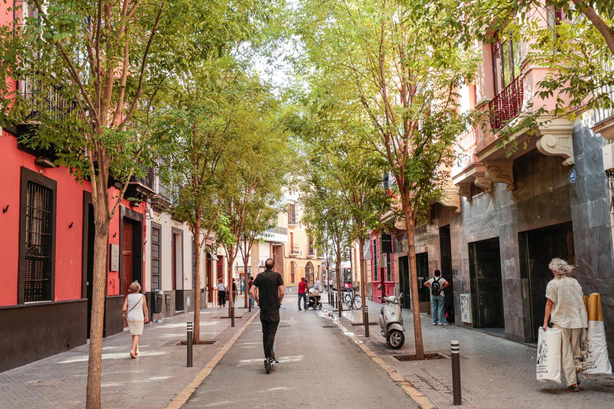 Monkeys Apartments Cervantes Sevilla Eksteriør billede